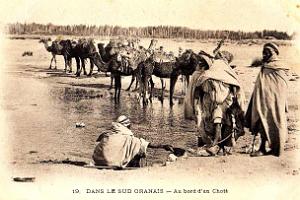 Images d'Algerie 176